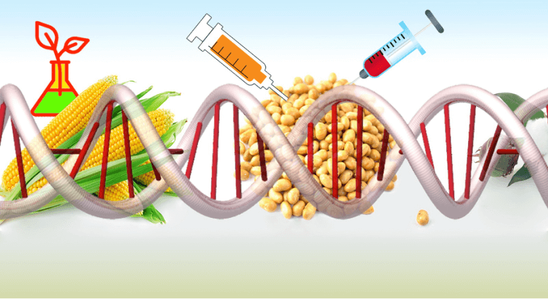 Genetiği Değiştirilmiş Organizmalar